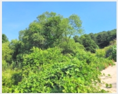  2024Ÿ��35000 ��� ���� ������ ���踮 76      ����(��)���