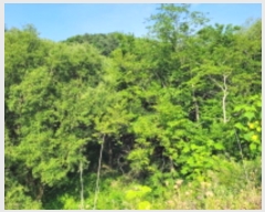  2024Ÿ��35000 ��� ���� ������ ���踮 76      ����(��)���