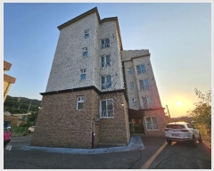  2024Ÿ��35116  �ټ���(����)���