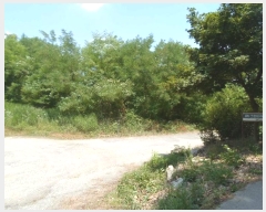  2024Ÿ��35253 ��� ��õ�� �𰡸� ���渮 236-2      ����(��1)���