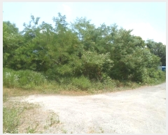  2024Ÿ��35253 ��� ��õ�� �𰡸� ���渮 236-2      ����(��1)���