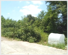  2024Ÿ��35253 ��� ��õ�� �𰡸� ���渮 236-2      ����(��1)���