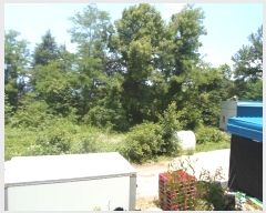  2024Ÿ��35253 ��� ��õ�� �𰡸� ���渮 236-2      ����(��1)���