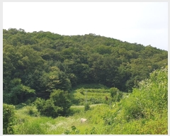  2024Ÿ��35642 ��� ���� �缭�� ��� ��54-6      ����(�Ӿ�)���