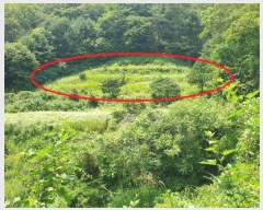  2024Ÿ��35642 ��� ���� �缭�� ��� ��54-6      ����(�Ӿ�)���