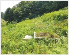  2024Ÿ��35642 ��� ���� �缭�� ��� ��54-6      ����(�Ӿ�)���