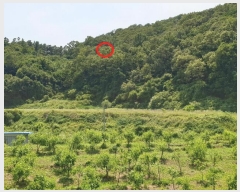  2024Ÿ��35642 ��� ���� �缭�� ��� ��54-6      ����(�Ӿ�)���