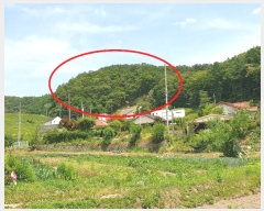  2024Ÿ��35642 ��� ���� �缭�� ��� ��54-6      ����(�Ӿ�)���