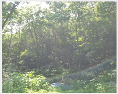  2024Ÿ��35642 ��� ���� �缭�� ��� ��54-6      ����(�Ӿ�)���