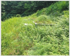  2024Ÿ��35642 ��� ���� �缭�� ��� ��54-6      ����(�Ӿ�)���