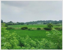  2024Ÿ��36058 ��� ��õ�� �ι��� ���̸� 244-44      ����(�Ӿ�)���