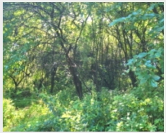  2024Ÿ��36058 ��� ��õ�� �ι��� ���̸� 244-44      ����(�Ӿ�)���