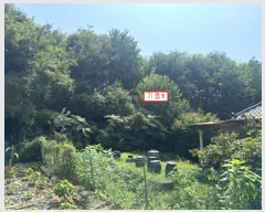  2024Ÿ��37792 ��� ���� �絿�� �ܼ��� 14-122      ����(������)���