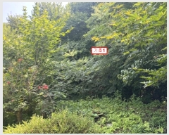  2024Ÿ��37792 ��� ���� �絿�� �ܼ��� 14-122      ����(������)���