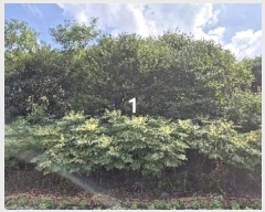  2024Ÿ��37792 ��� ���� �絿�� �ܼ��� 14-122      ����(������)���