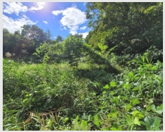  2024Ÿ��39101 ��� ���ֽ� �ϳ��� �󱳸� 427      ����(��1)���