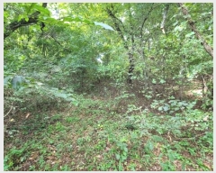  2024Ÿ��39101 ��� ���ֽ� �ϳ��� �󱳸� 427      ����(��1)���