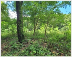  2024Ÿ��39101 ��� ���ֽ� �ϳ��� �󱳸� 427      ����(��1)���