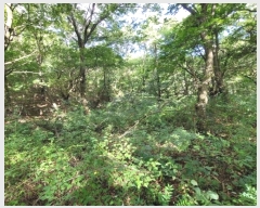  2024Ÿ��39101 ��� ���ֽ� �ϳ��� �󱳸� 427      ����(��1)���