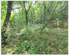  2024Ÿ��39101 ��� ���ֽ� �ϳ��� �󱳸� 427      ����(��1)���