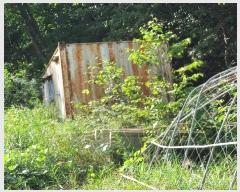  2024Ÿ��39101 ��� ���ֽ� �ϳ��� �󱳸� 427      ����(��1)���