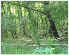  2024Ÿ��39101 ��� ���ֽ� �ϳ��� �󱳸� 427      ����(��1)���