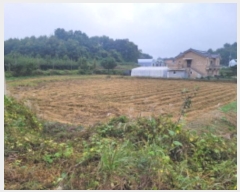  2024Ÿ��39361 ��� ���ֽ� ������ ȭ�� 315-1      ����(��)���