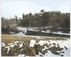  2024Ÿ��39835 ��� ���� �빮�� ȭ���� 1152-24      ����(�Ӿ�)���