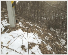  2024Ÿ��39835 ��� ���� �빮�� ȭ���� 1152-24      ����(�Ӿ�)���