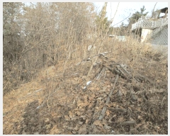  2024Ÿ��39835 ��� ���� �빮�� ȭ���� 1152-24      ����(�Ӿ�)���