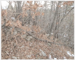  2024Ÿ��39835 ��� ���� �빮�� ȭ���� 1152-24      ����(�Ӿ�)���