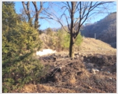  2024Ÿ��41616 ��� ���� ������ ���Ը� 153-26      ����(��)���