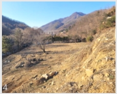  2024Ÿ��41616 ��� ���� ������ ���Ը� 153-26      ����(��)���