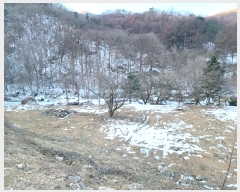  2024Ÿ��41616 ��� ���� ������ ���Ը� 153-26      ����(��)���