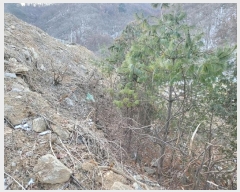  2024Ÿ��41616 ��� ���� ������ ���Ը� 153-26      ����(��)���