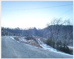  2024Ÿ��41616 ��� ���� ������ ���Ը� 153-26      ����(��)���