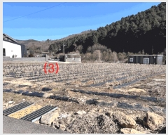  2024Ÿ��226  �Ӿ߰��