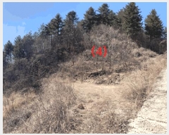  2024Ÿ��226  �Ӿ߰��