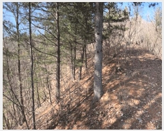  2024Ÿ��226  �Ӿ߰��