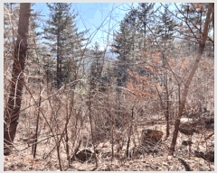  2024Ÿ��226  �Ӿ߰��