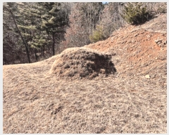  2024Ÿ��226  �Ӿ߰��