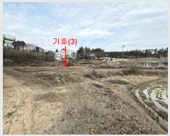  2024Ÿ1519  ֽ   416      ()