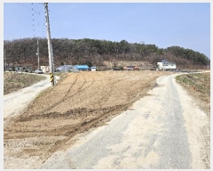  2024Ÿ1519  ֽ   416      ()