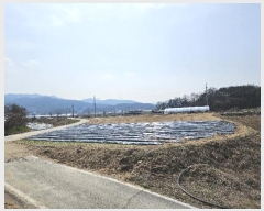  2024Ÿ1519  ֽ   416      ()