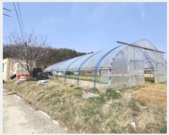  2024Ÿ1519  ֽ   416      ()