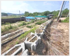  2024Ÿ2574  ֽ  380-8       (Ӿ)