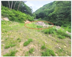  2024Ÿ��2710  �Ӿ߰��