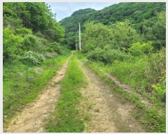  2024Ÿ��2710  �Ӿ߰��