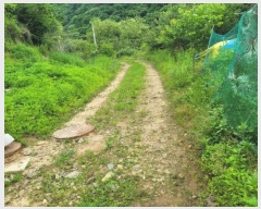  2024Ÿ��2710  �Ӿ߰��