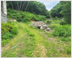  2024Ÿ��2710  �Ӿ߰��